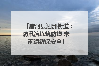 唐河县泗洲街道：防汛演练筑防线 未雨绸缪保安全
